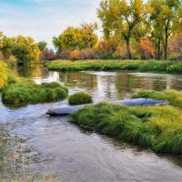 Tongue River Refuge images 2