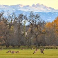 Tongue River Refuge images 4
