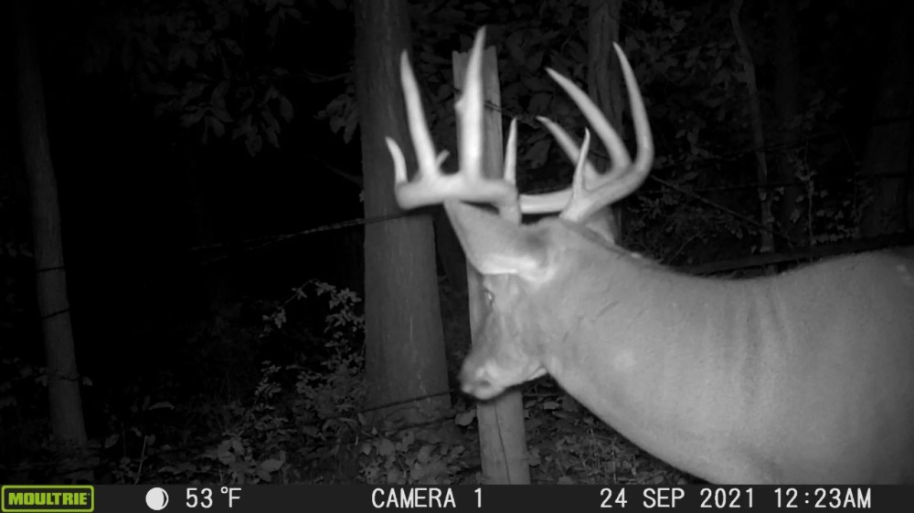 Recreational Hunting Land for Sale in Sauk County Wisconsin Hunting