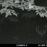 Recreational Hunting Land for Sale in Sauk County Wisconsin images 3