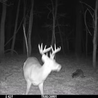 Clear Springs Ranch 187 acres m l images 3