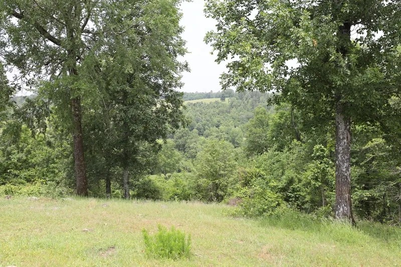 Smithville Tract 3—5.16 Acres More Or Less featured image
