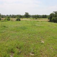 Smithville Tract 3—5.16 Acres More Or Less images 3
