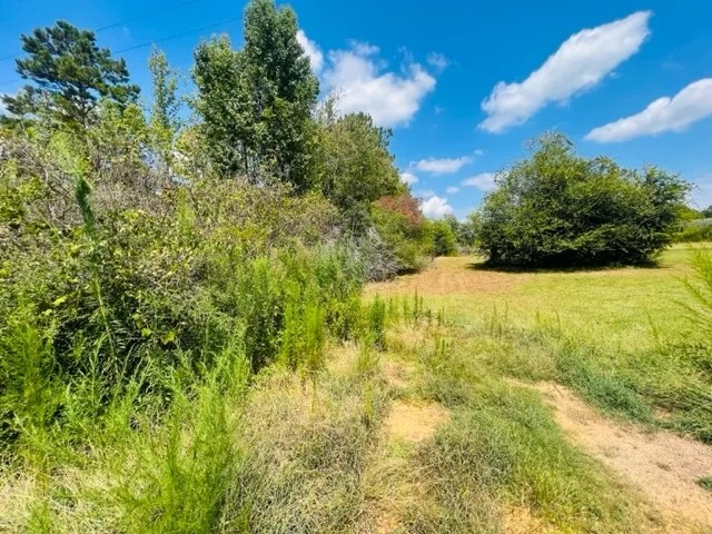 6 acres Jayess Community Walthall County MS featured image