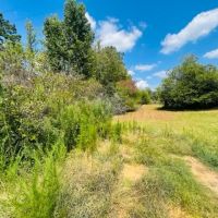 6 acres Jayess Community Walthall County MS