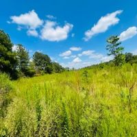 6 acres Jayess Community Walthall County MS images 2