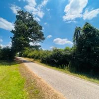 6 acres Jayess Community Walthall County MS images 4