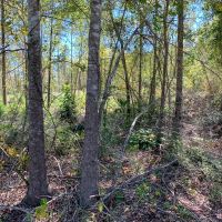 42 Acres CR 817 T-4 images 2