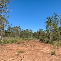 42 Acres CR 817 T-4 images 4