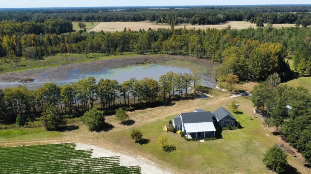 Jenkins County Duck Dove Retreat Hunting Land for Sale