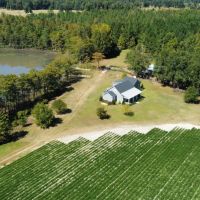 Jenkins County Duck Dove Retreat images 2