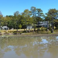 Jenkins County Duck Dove Retreat images 3