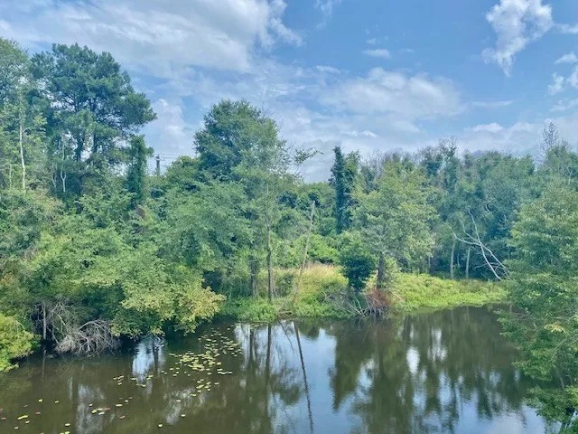 21 Acres Magee Creek Frontage featured image