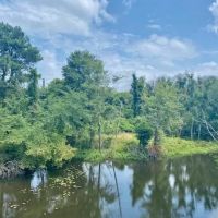 21 Acres Magee Creek Frontage