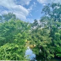 21 Acres Magee Creek Frontage images 3