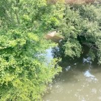21 Acres Magee Creek Frontage images 4