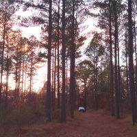 160 Acres in Grenada County in Grenada MS