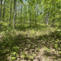 Backcountry 38 images 3