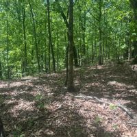 Backcountry 38 images 4