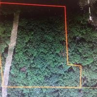 3.68 Acres Paved Road Frontage Wooded Electric Available Douglas County images 4