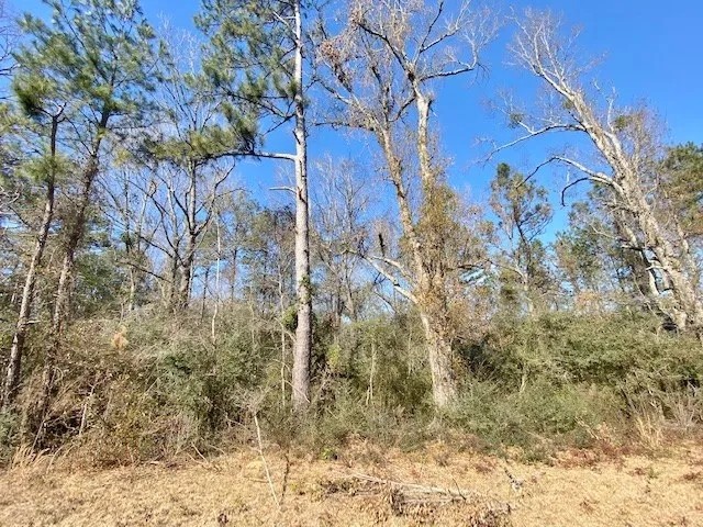 61 Acres-Hwy 1057-Kentwood LA featured image