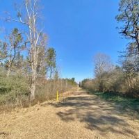 61 Acres-Hwy 1057-Kentwood LA images 2