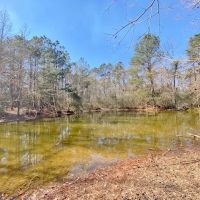 61 Acres-Hwy 1057-Kentwood LA images 4
