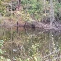 55 Acres in Adams County in Natchez MS images 2