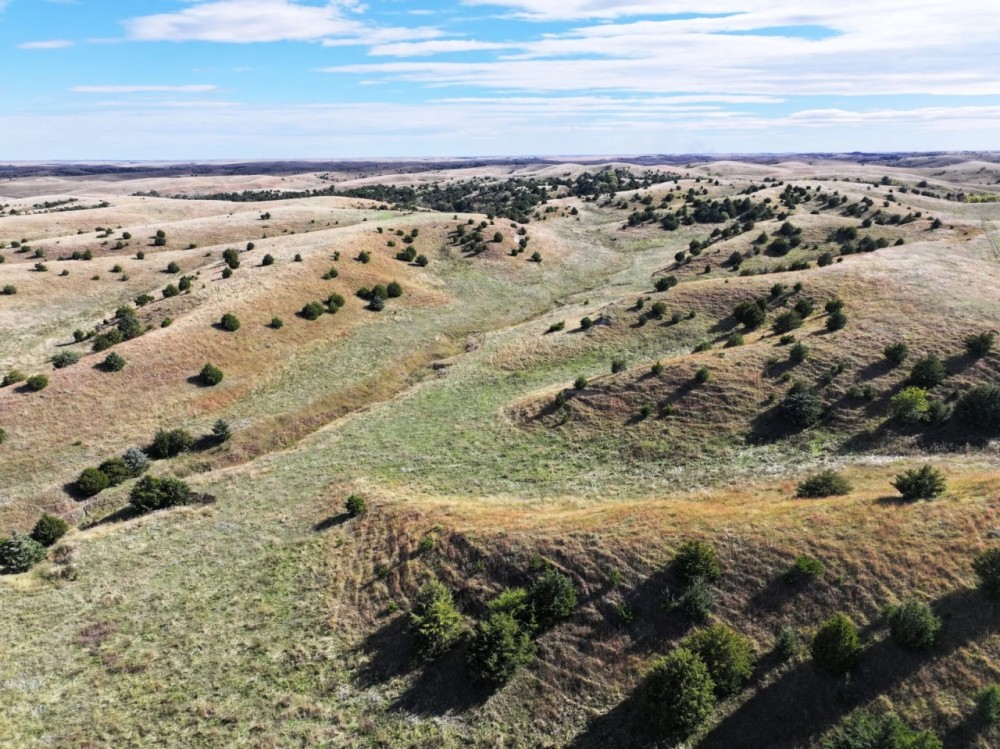 James Ranch featured image