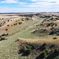 James Ranch