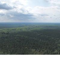 60.1 Acres in Kemper County in Scooba MS