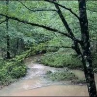 60.1 Acres in Kemper County in Scooba MS images 3
