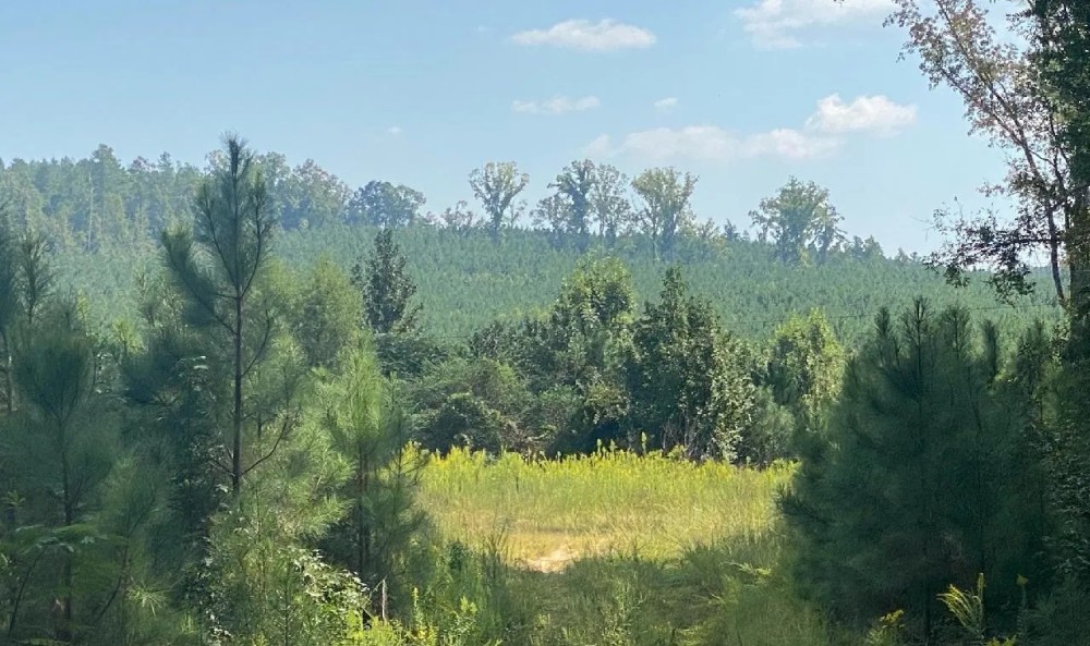 37 Acres in Noxubee County in Shuqualak MS Hunting Land for Sale