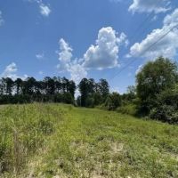 37 Acres in Noxubee County in Shuqualak MS images 2