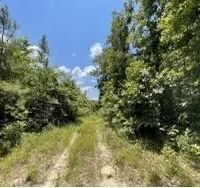 37 Acres in Noxubee County in Shuqualak MS images 3