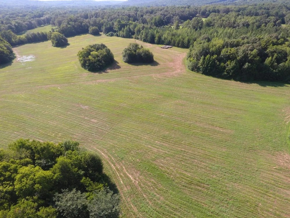Spring Valley 115 Acres featured image