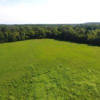 Spring Valley 115 Acres images 2