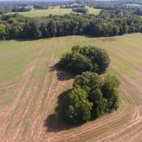 Spring Valley 115 Acres images 3
