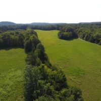 Spring Valley 115 Acres images 4