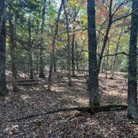 Edgar Springs 7