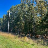 Edgar Springs 7 images 3