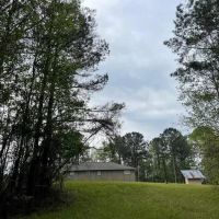 32 Acres With a Camp in Jasper County in Heidelberg MS
