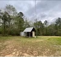 32 Acres With a Camp in Jasper County in Heidelberg MS images 3