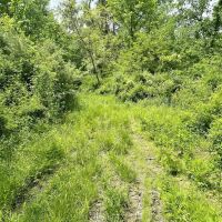Springs Rd. Beaver County - 102 acres images 2
