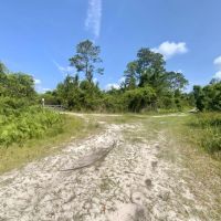 Boundary Road 60 Acres