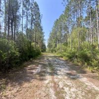Boundary Road 60 Acres images 2