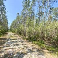 Boundary Road 60 Acres images 3