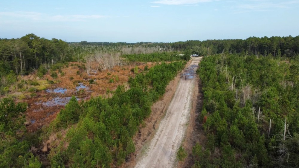 Briar Patch Tract featured image
