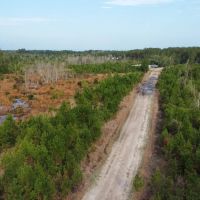 Briar Patch Tract
