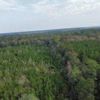 Briar Patch Tract images 2